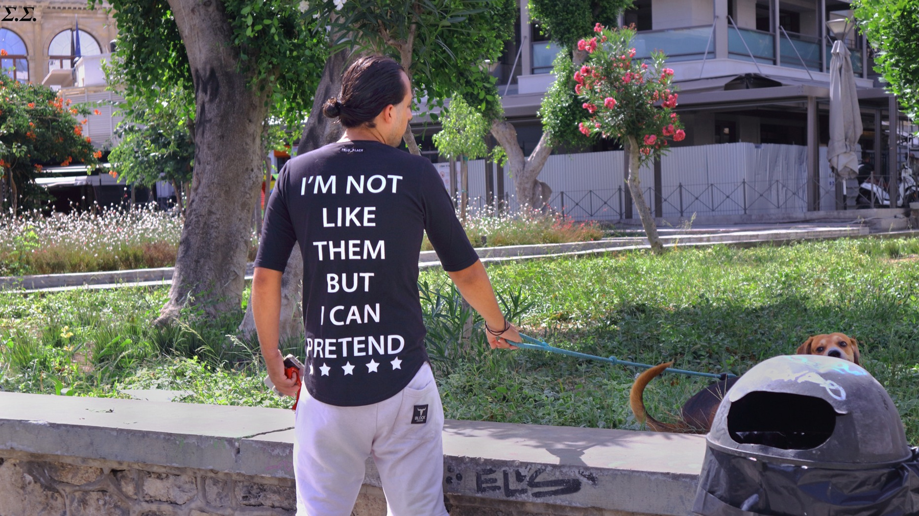 THE MESSAGE 