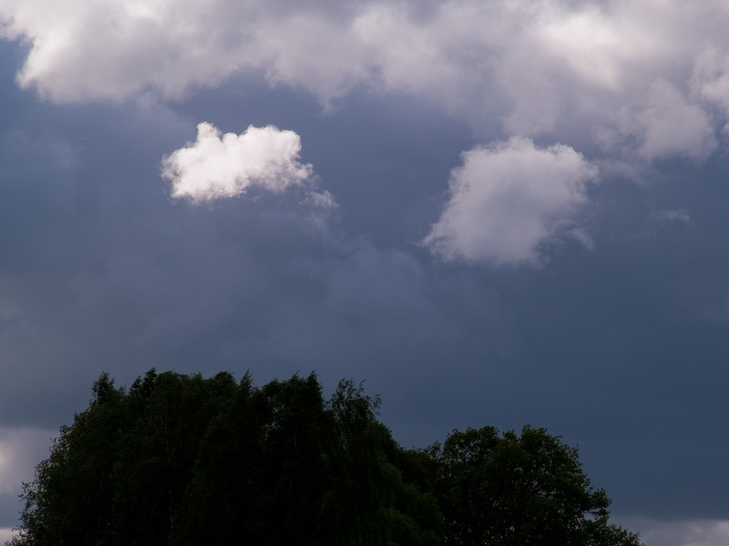 Weather Report прогноз погоды