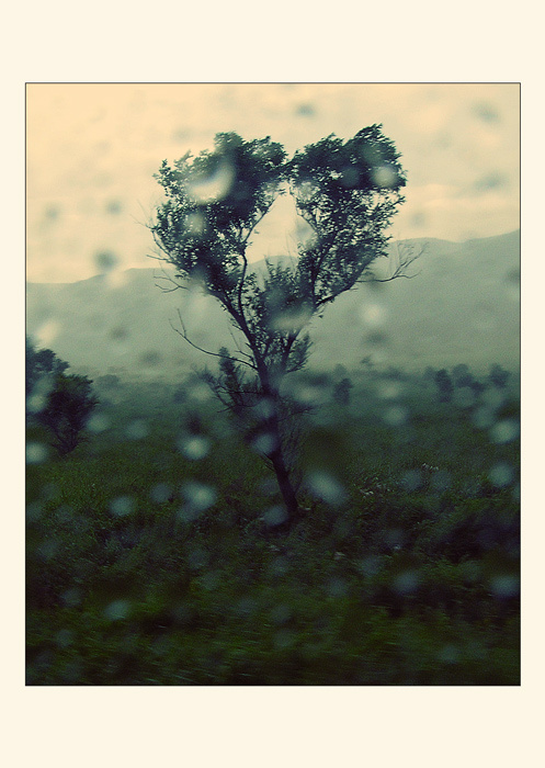 *Heart* 