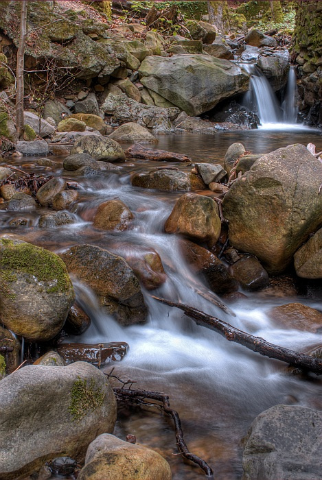 Uvas Canyon nikon