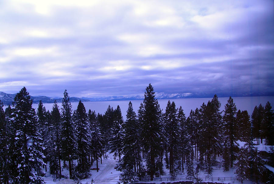 Lake Tahoe ozero Tahoe, lake, Zima, holodno, sneg, les