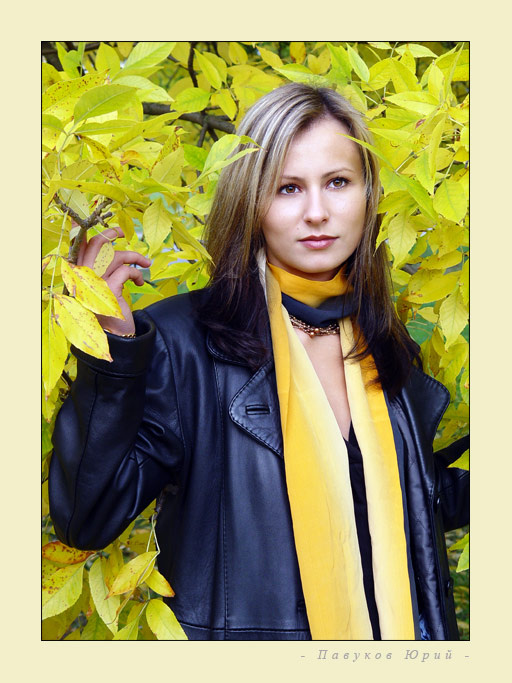 Autumn portfolio 