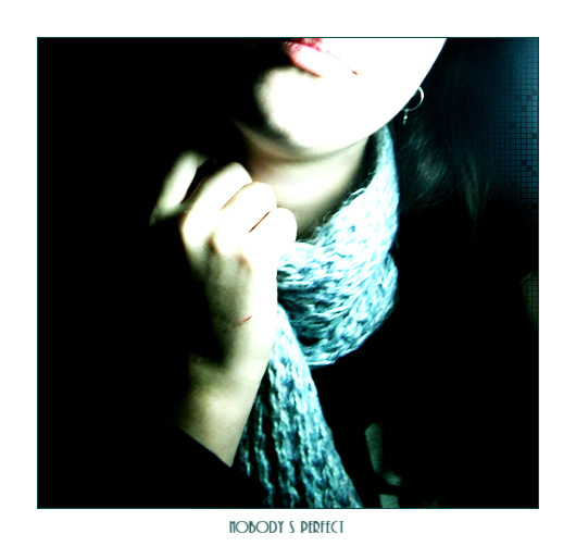 nobody`s perfect 