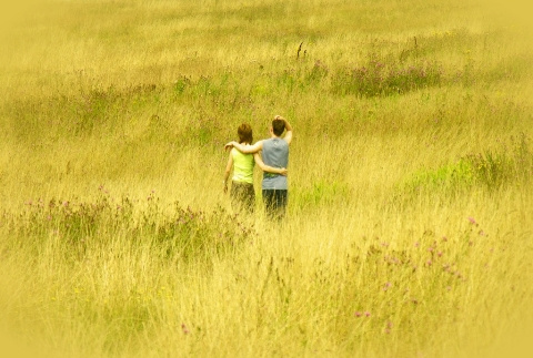 be together / fields of gold тепло,любовь,двое,поля,просторы