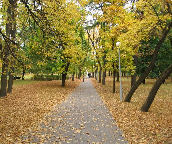 Дорога в зиму. 