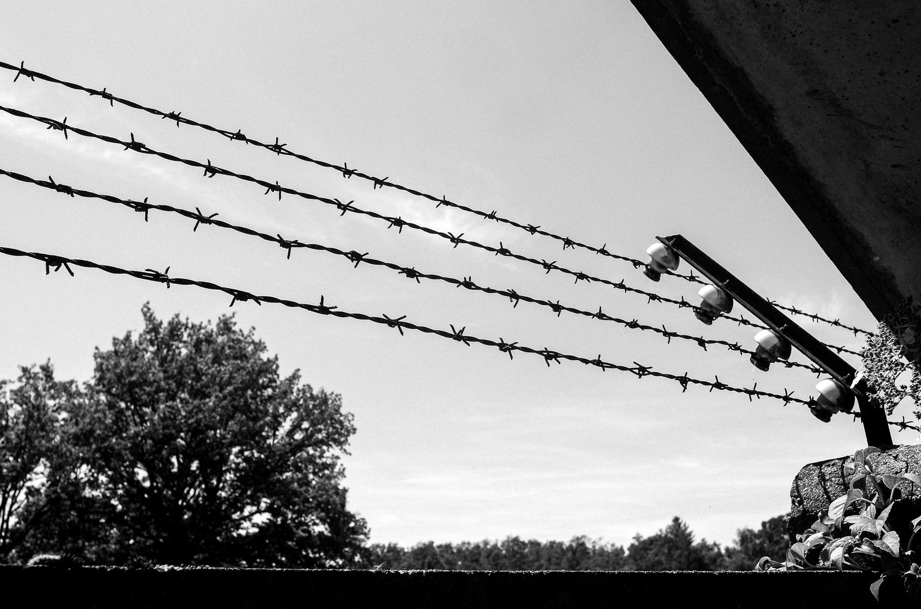 *** германия бавария концлагерь дахау dachau bavaria