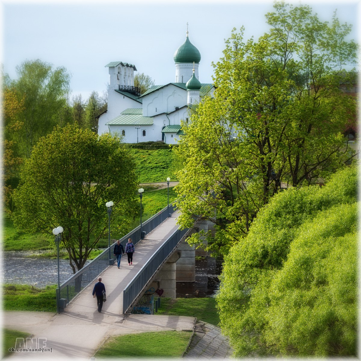 Весенняя зелень Псков