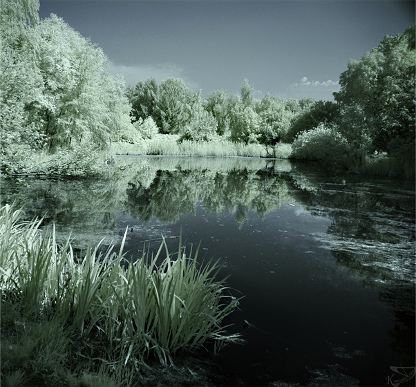 Омут. Зазеркалье. (Infrared in Colour) IR Infrared инфракрасная съемка ИК