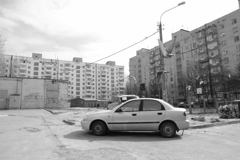 Дворы2 двор запорожье ланос птицы дома отражение полёт 