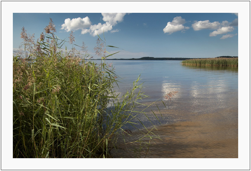 на озере небо озеро вода солнце лето облака