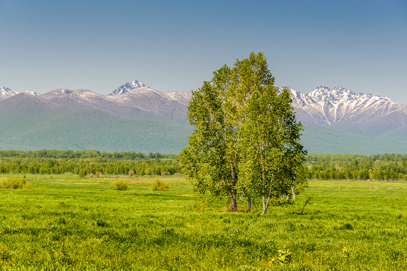 *** камчатский край природа камчатского края