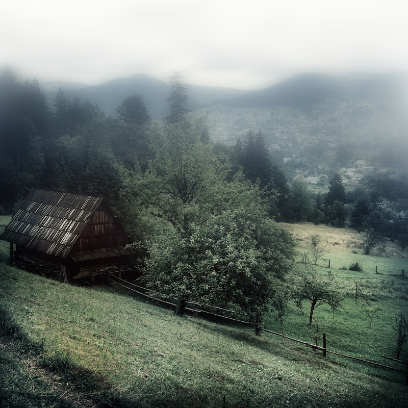 Untitled # 