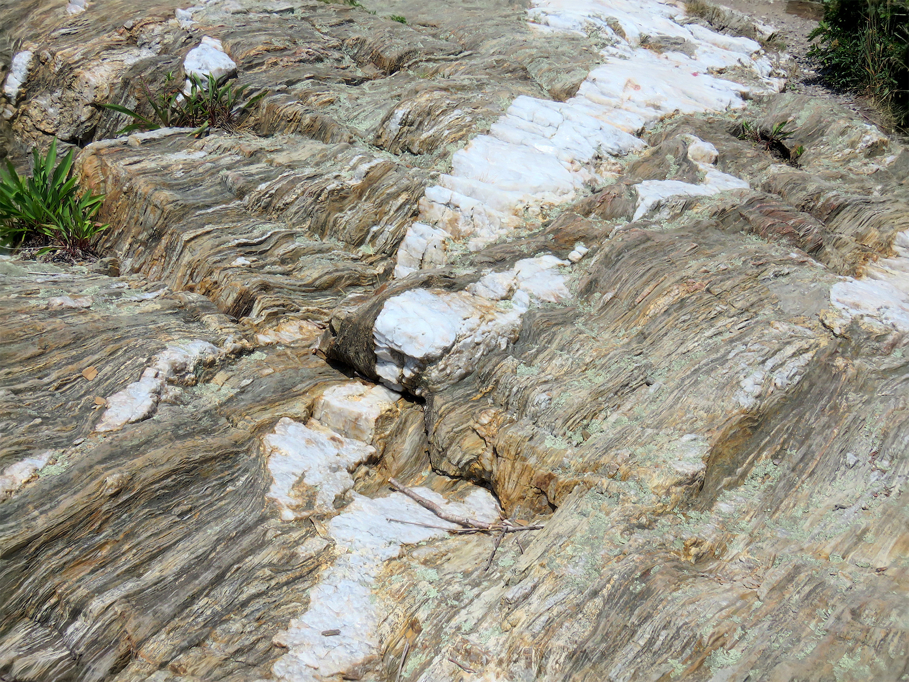 Каменные потоки Giant Steps Maine geology rocks