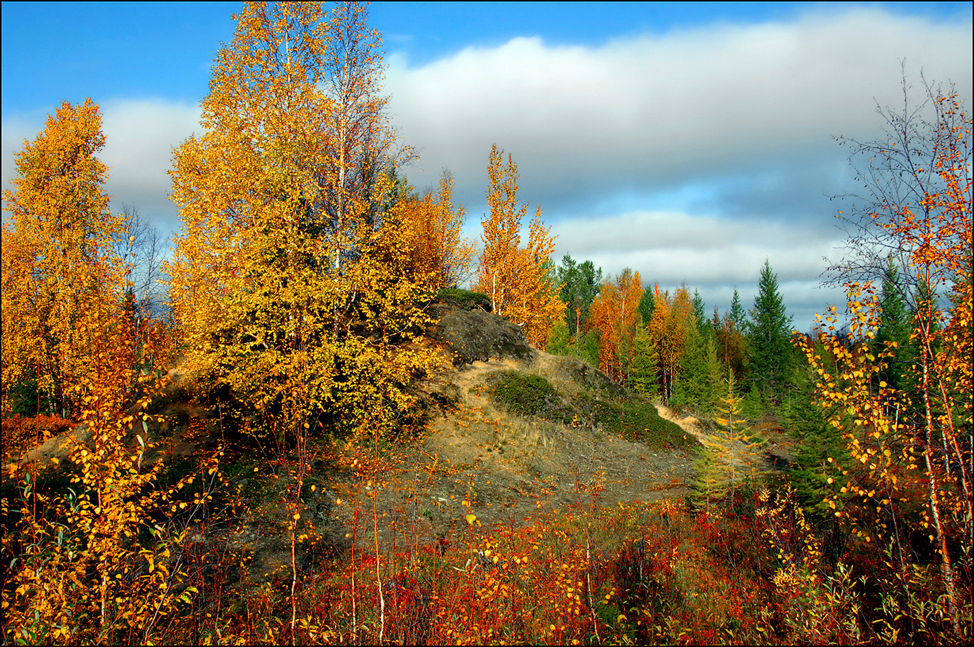 Ямальская осень 