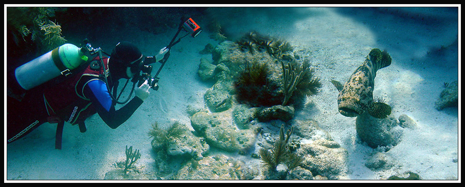 Hey grouper, Smile! Molasses Reef, instructor, grouper, Key Largo, Florida
