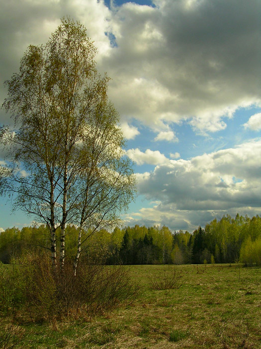 Май Чкаловск