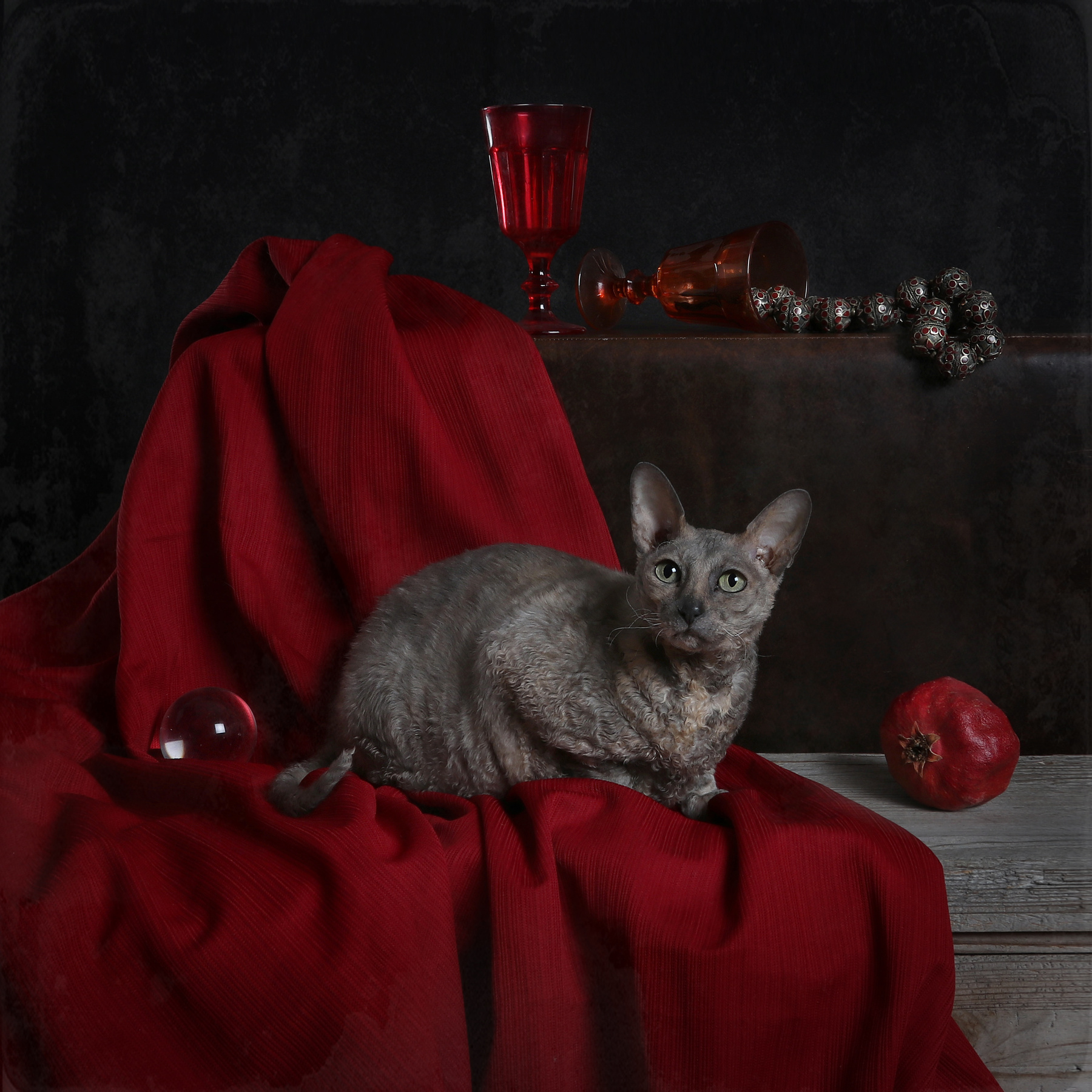 королевский красный 