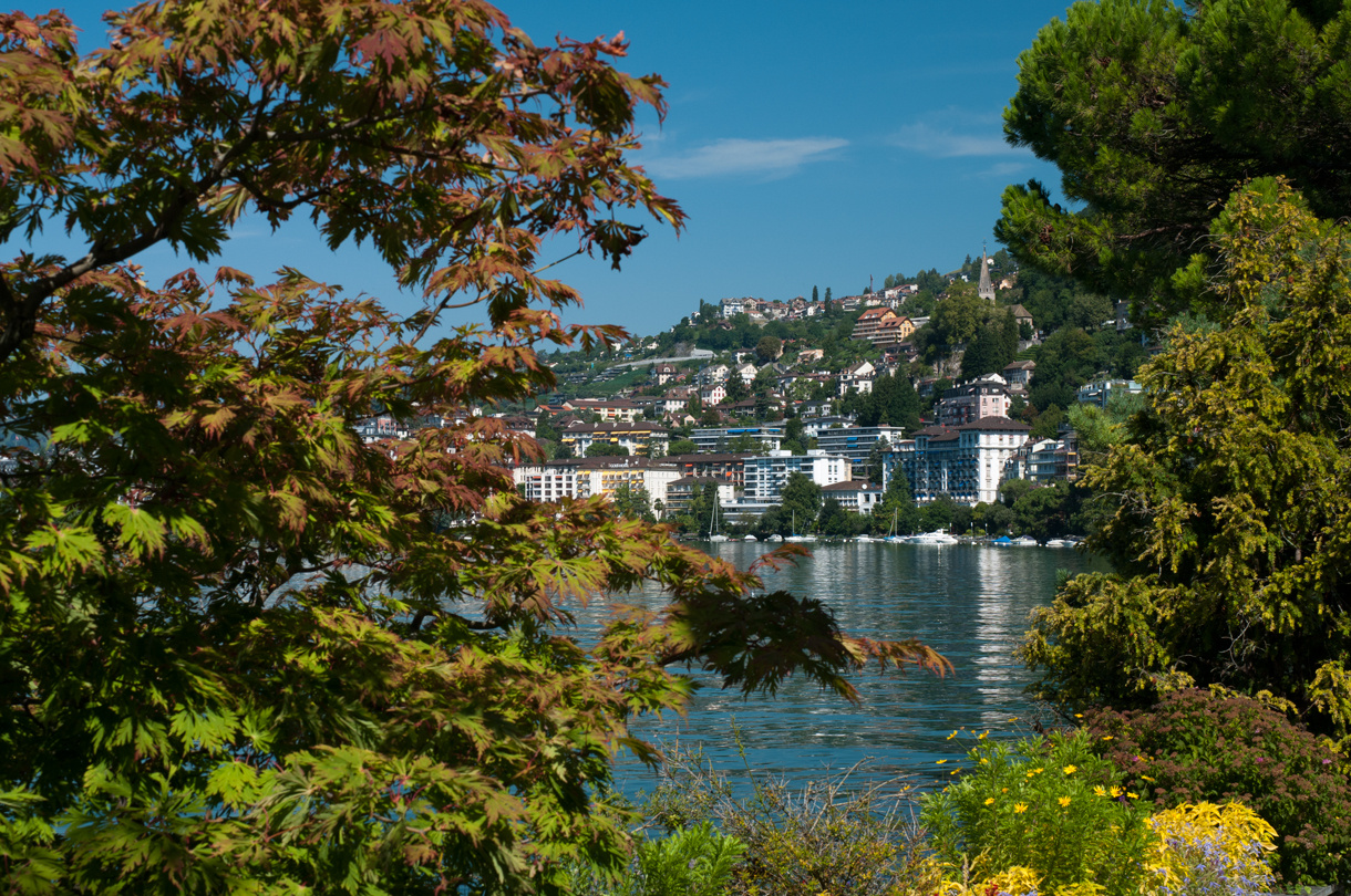 Through a gap in the leaves Switzerland Leman