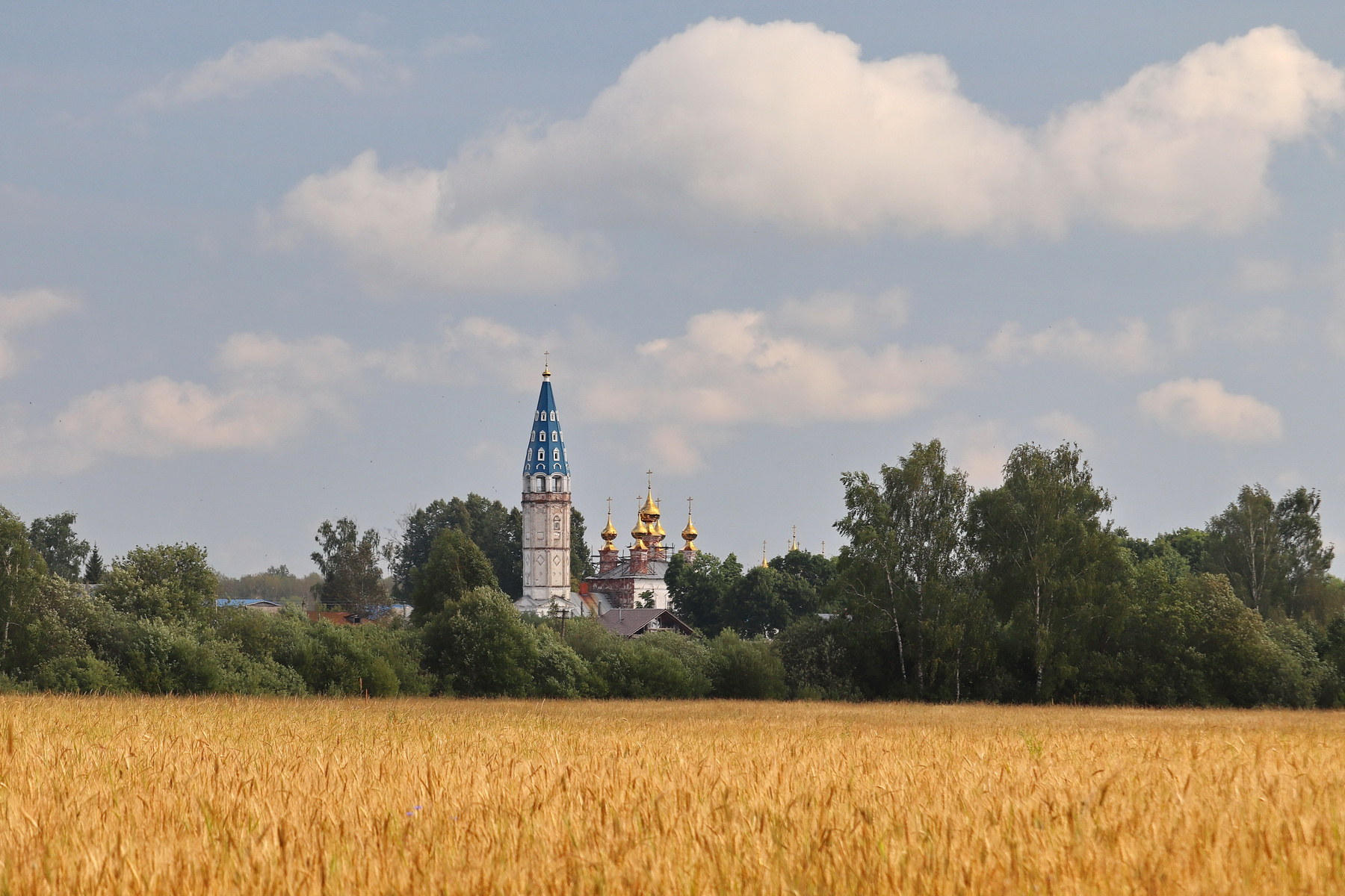 Русское поле. Кузнецово, Ивановская область. Ивановская область Шуя Кузнецово поле Россия