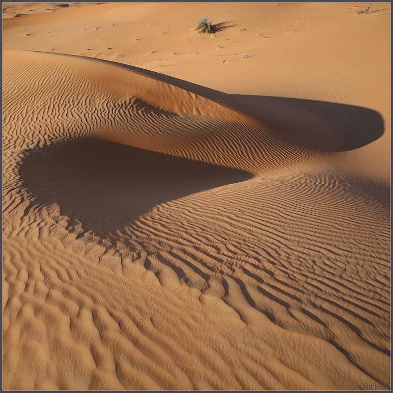 МИНИМАЛИЗМЫ пустыни Rub Al Khali (Оман) 