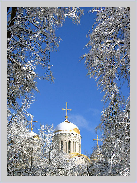 Снежный день Снегопад, солнце