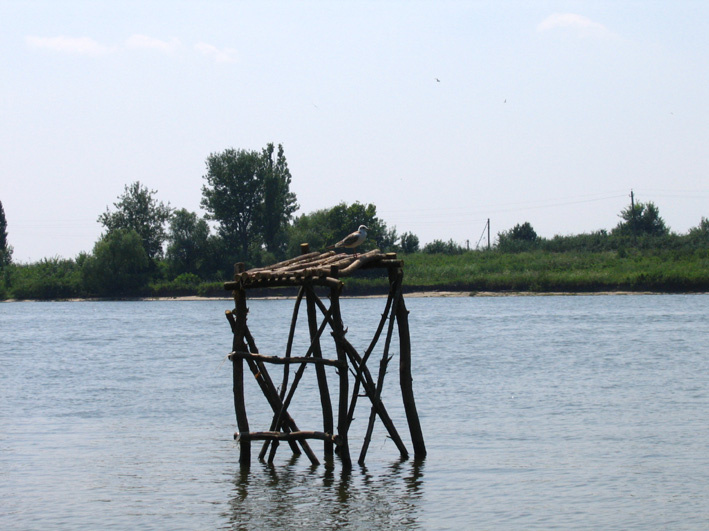 Одиночество чайка, река
