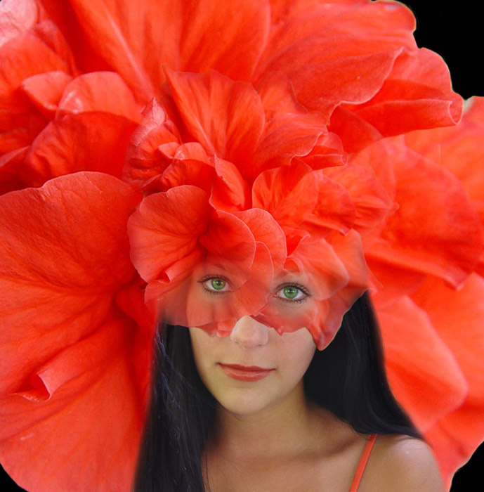 Flover цветы девушка романтика