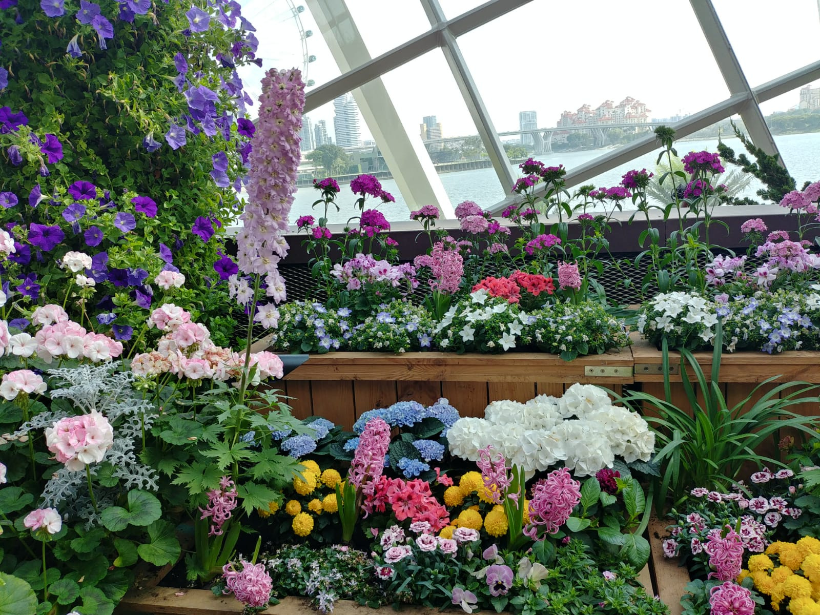 Gardens by the Bay, Singapore Мобильное фото