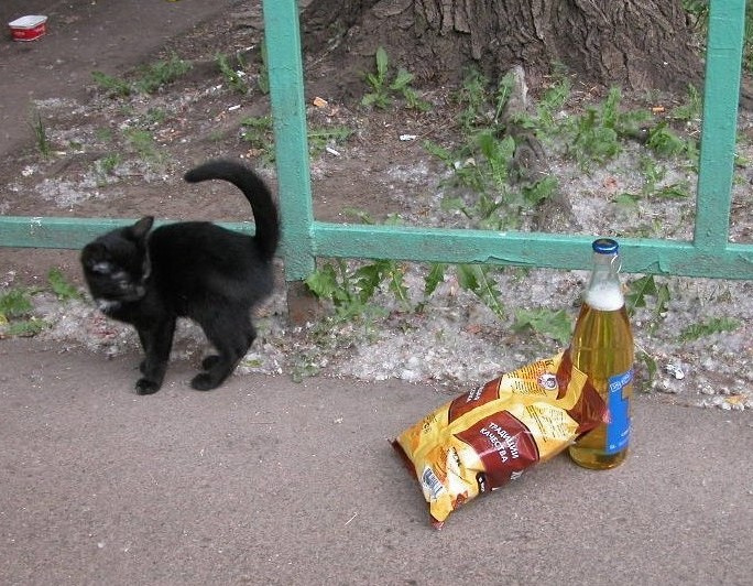 *** пиво чипсы