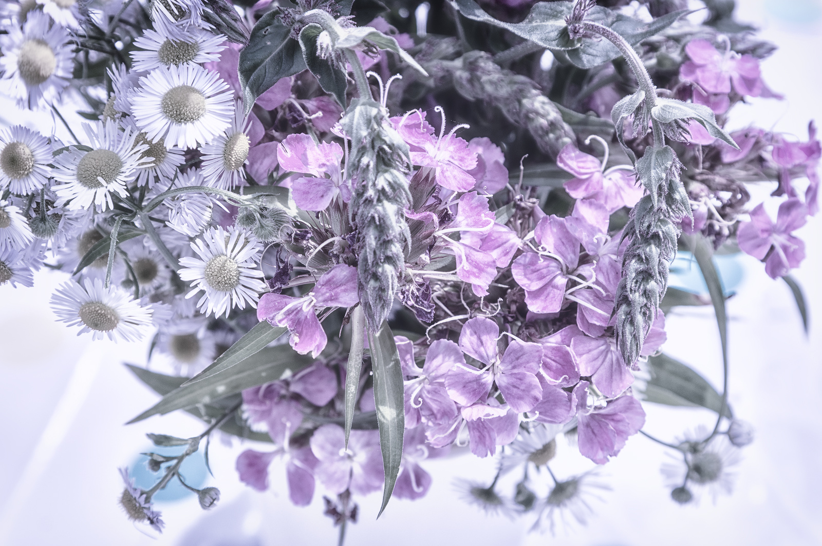 ... настроение ... 