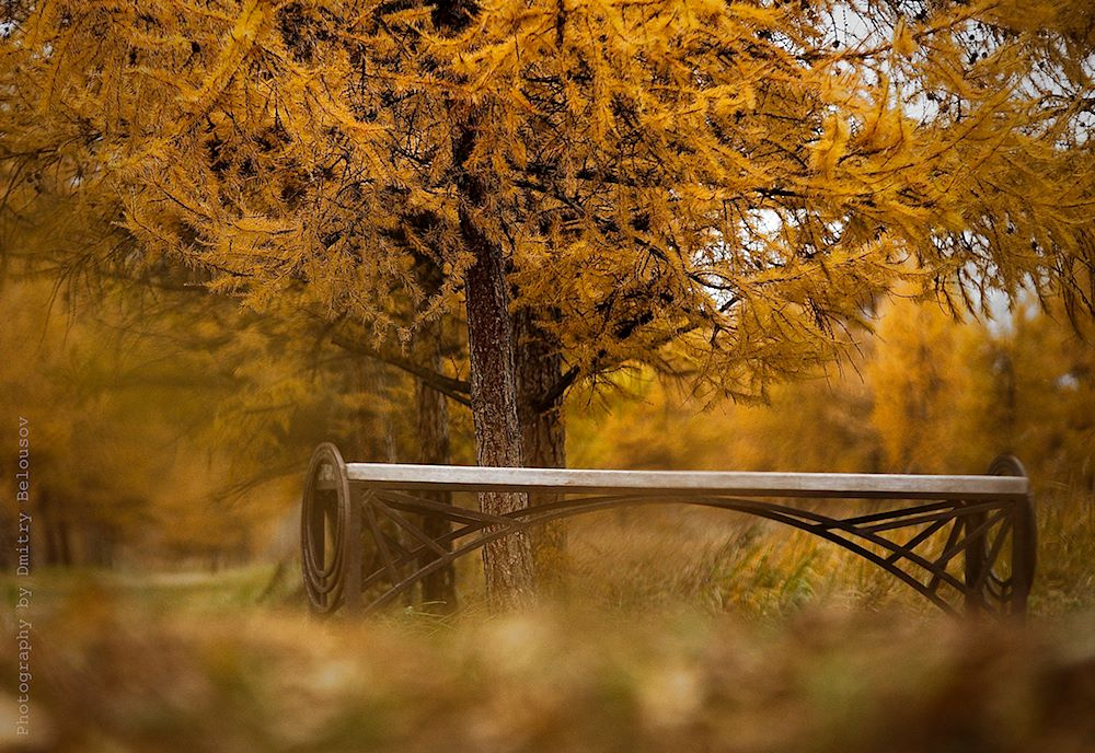 Nobody's autumn 