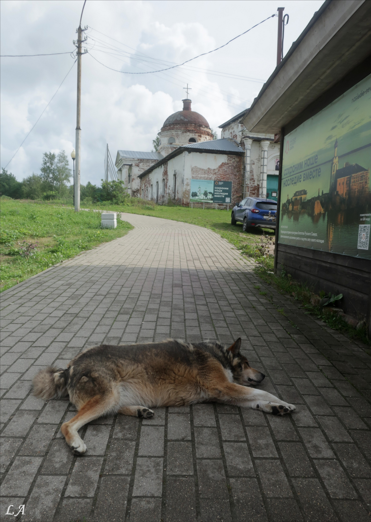 Жаркий денёк Творческий Союз Снежный Лев Фототренер Александр Мамакин Фото Светланы Мамакиной Путешествие Lihgra Advenyture Фотосайт Россия Вологодская область Кириллов рынок церковь собака август