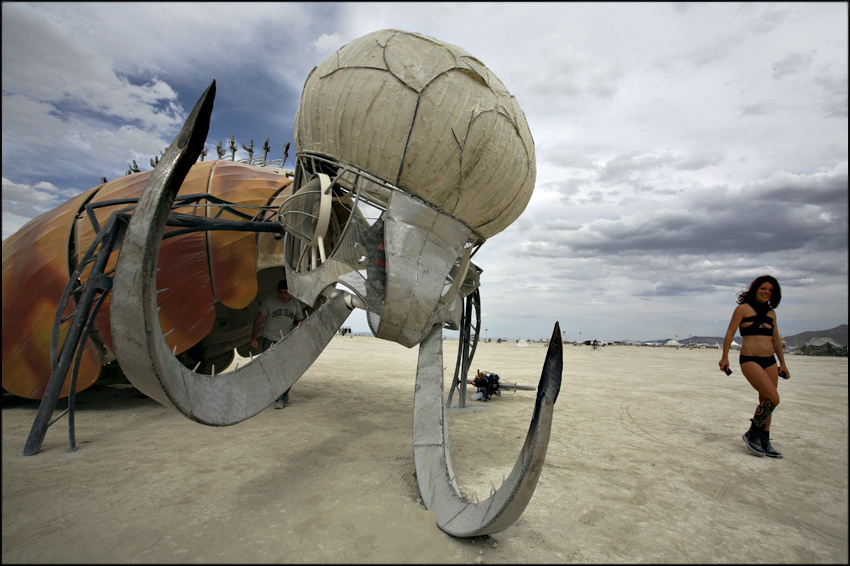 чёй-то непотребное Burning Man