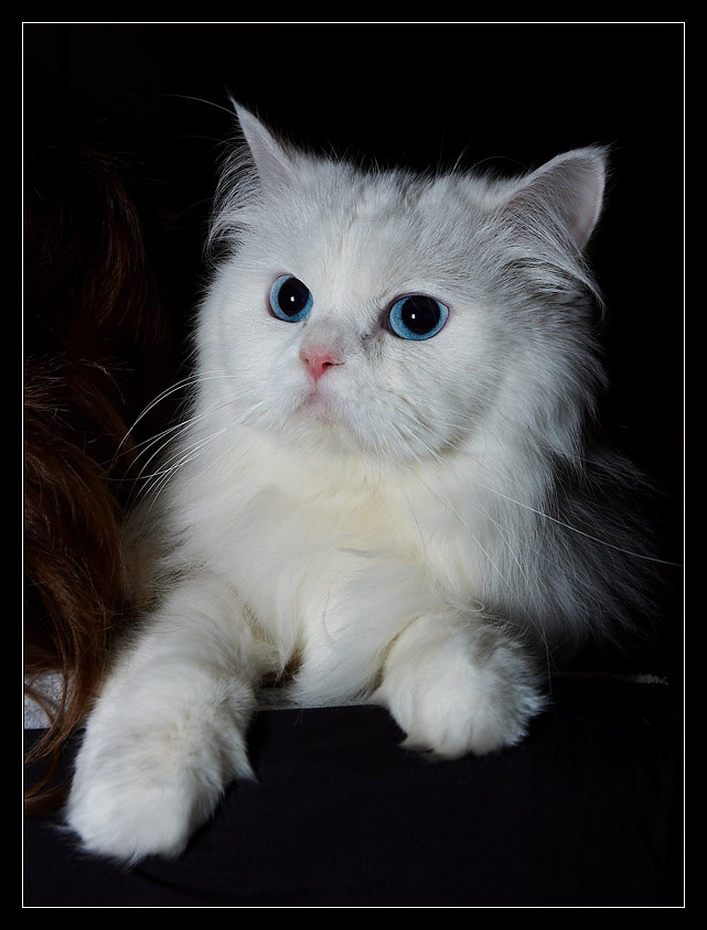 Слыш, фотограф, тебе еще не надоело? 