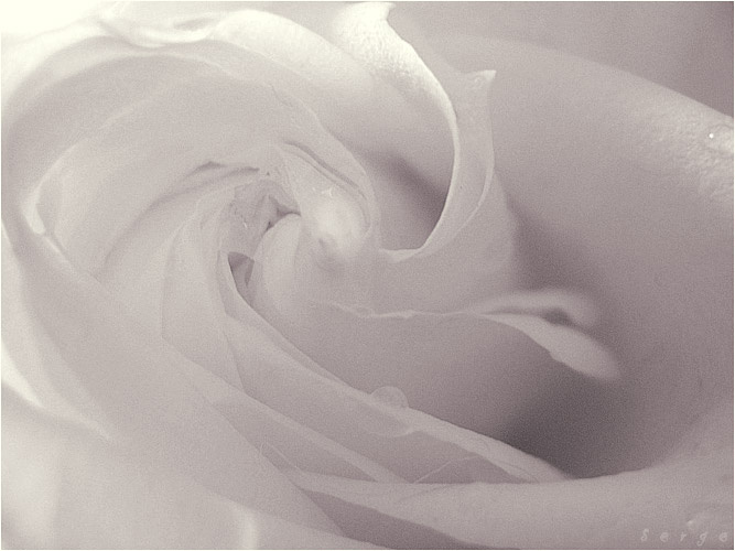for_LITA 