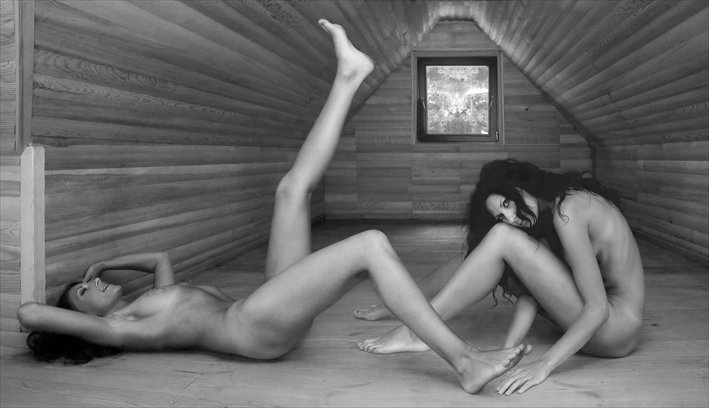 Two Girls in the Attic 