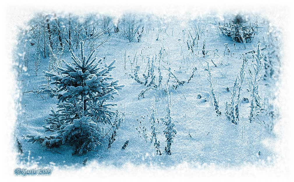 С Наступающими!!! Веселого  Рождества и Счастливого Нового года!!!