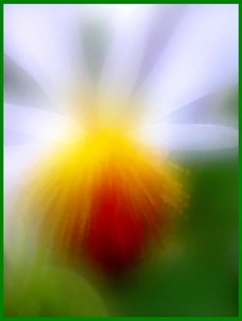 La Fleur fleur цветок