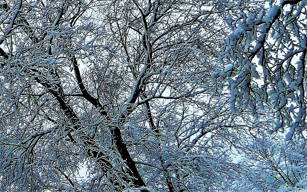 Зимние узоры( серия) Зимние узоры
