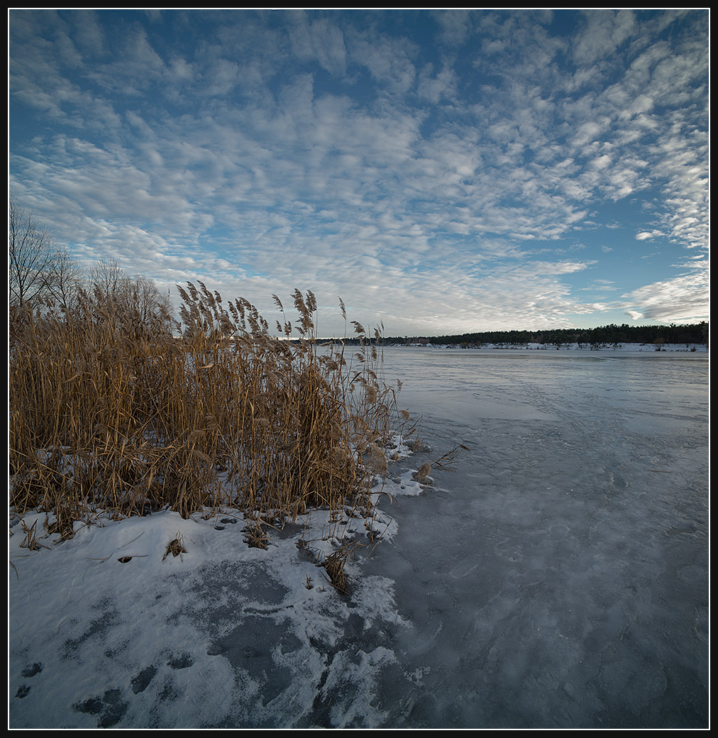 Во льду...(4) 