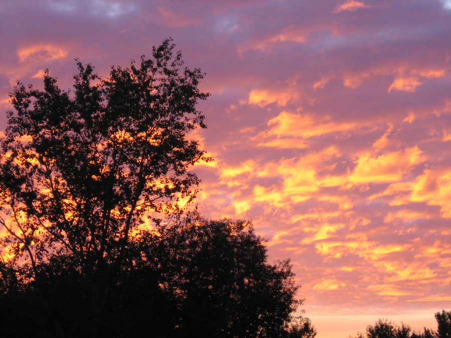 Sunrise 