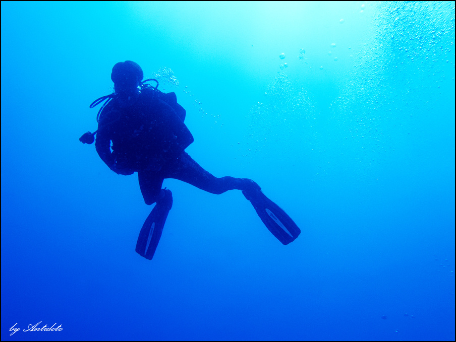 Deep Blue diving, red sea, дайвинг, красное море, море, вода, дайвер, blue, голубое, пузырьки, ласты