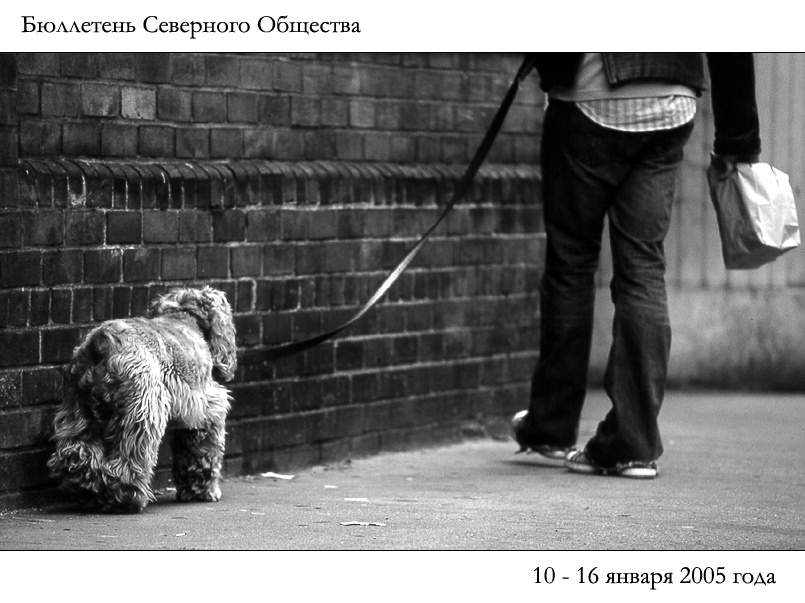 Бюллетень Северного Общества за 10 - 16 января 2005 года 