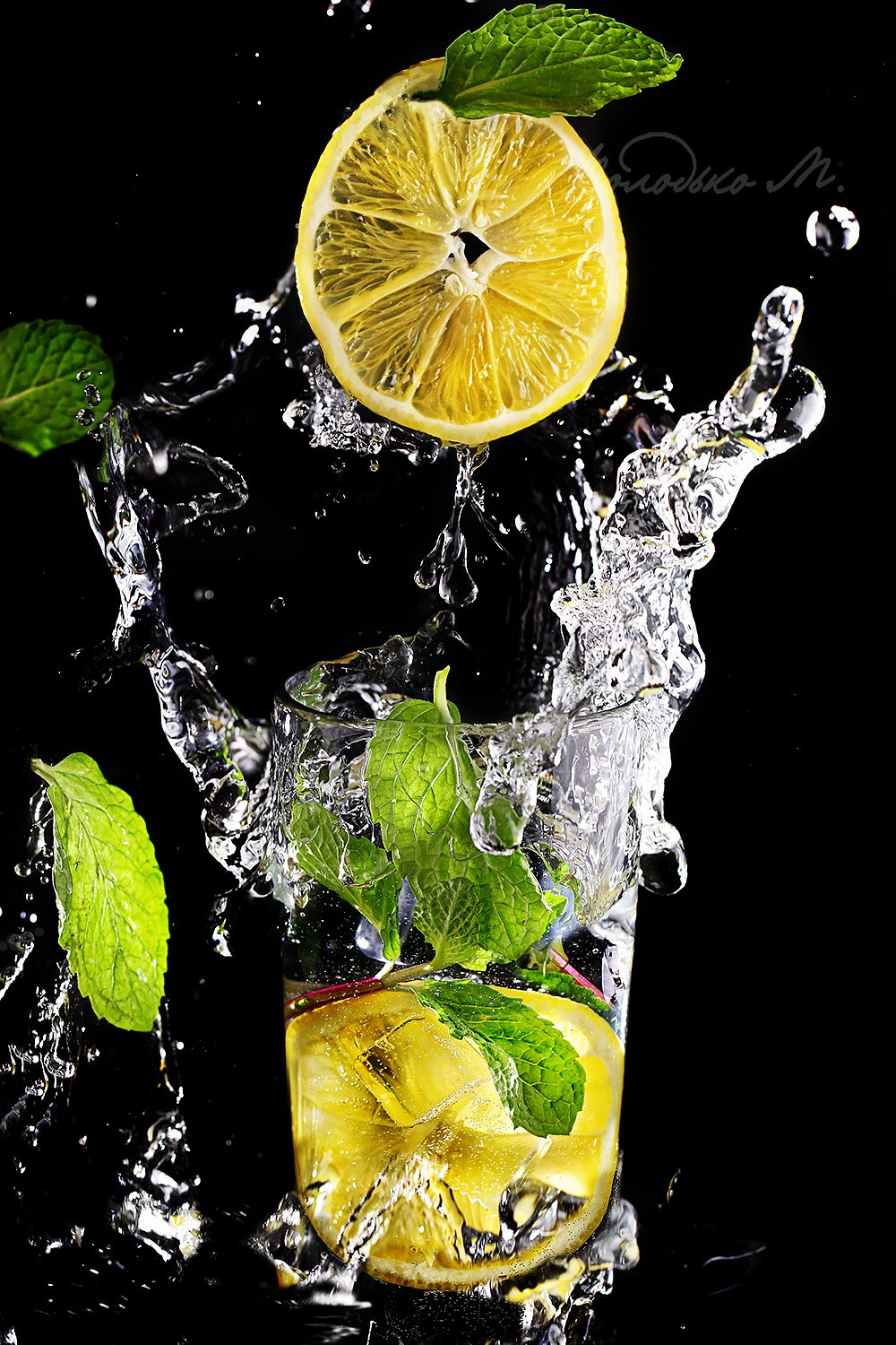 Mojito Mojito