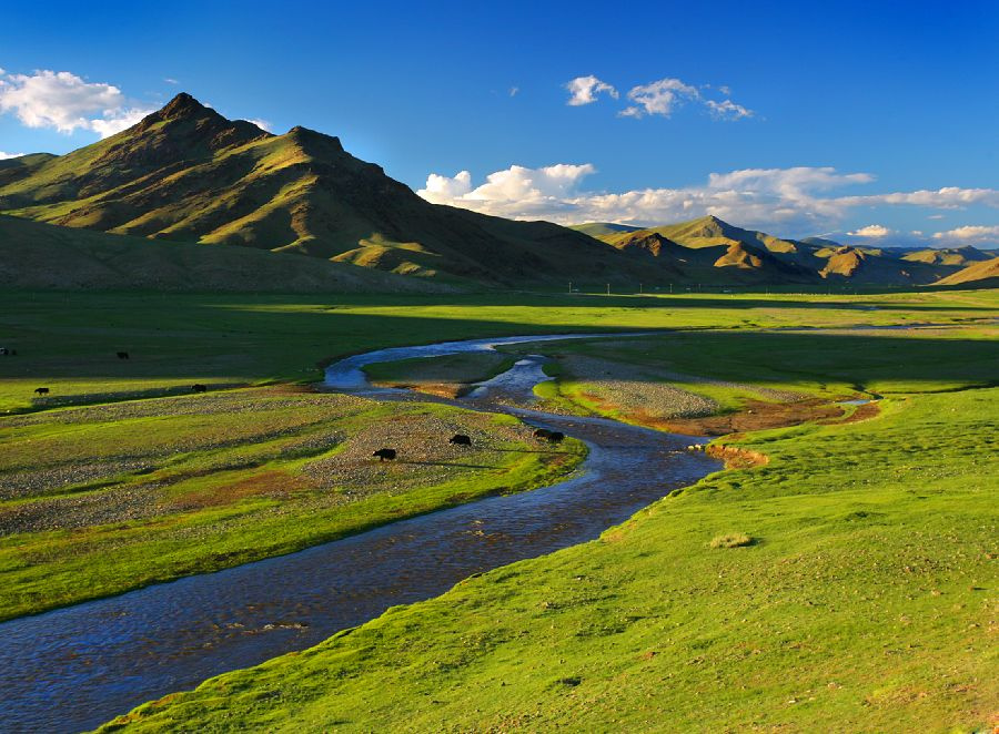 mongolia 