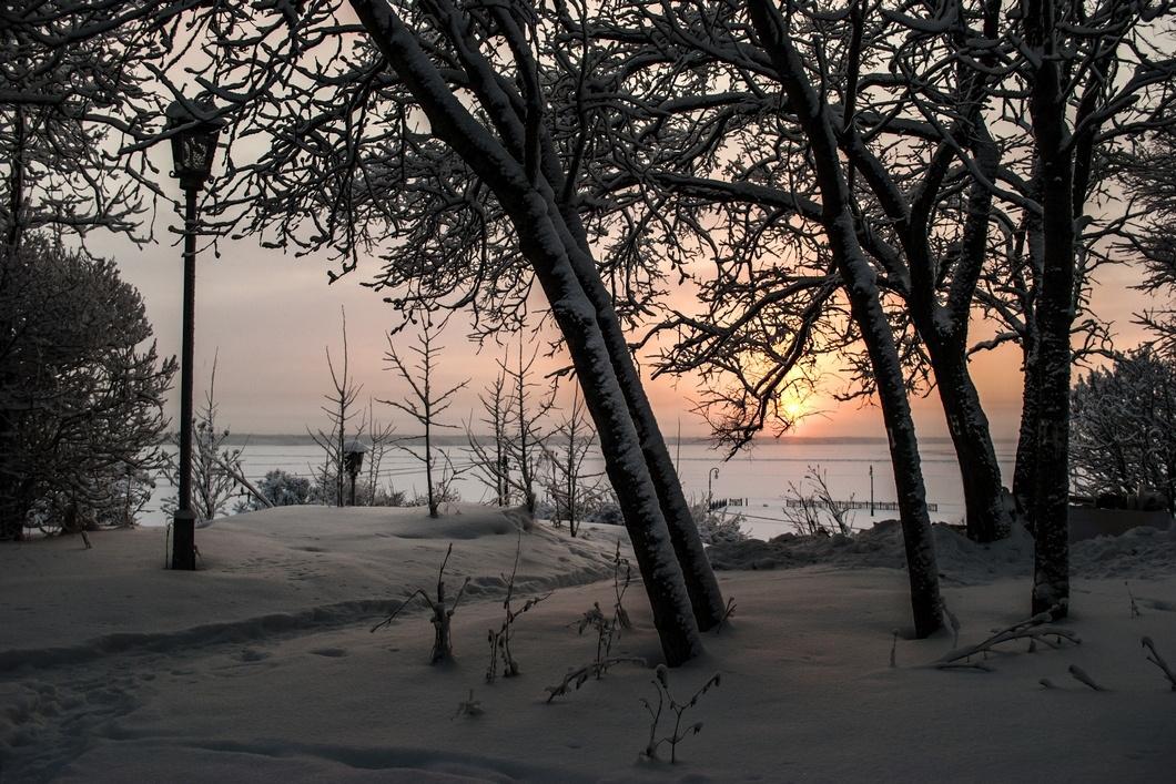 В парке городском... Зима, январь, закат