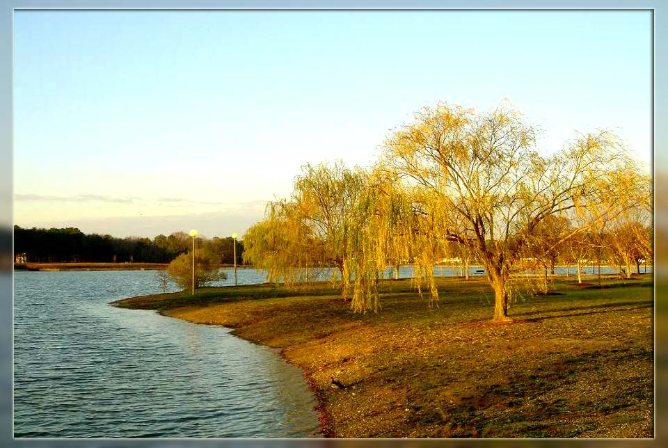 Virginia Beach. Last autumn autumn, oсень