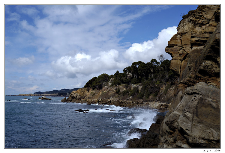 Salt Point 