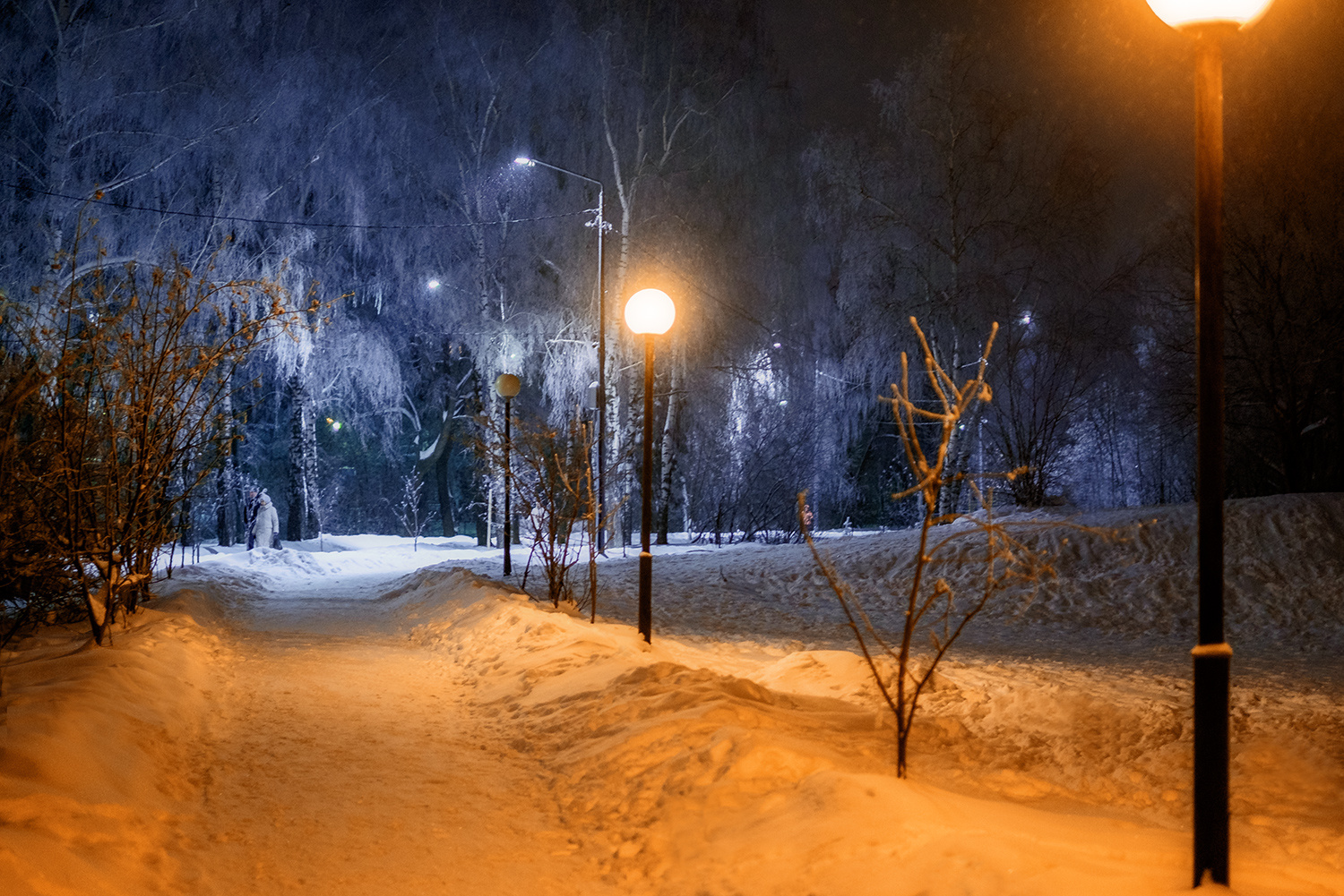 В городском парке... Город зима ночь парк