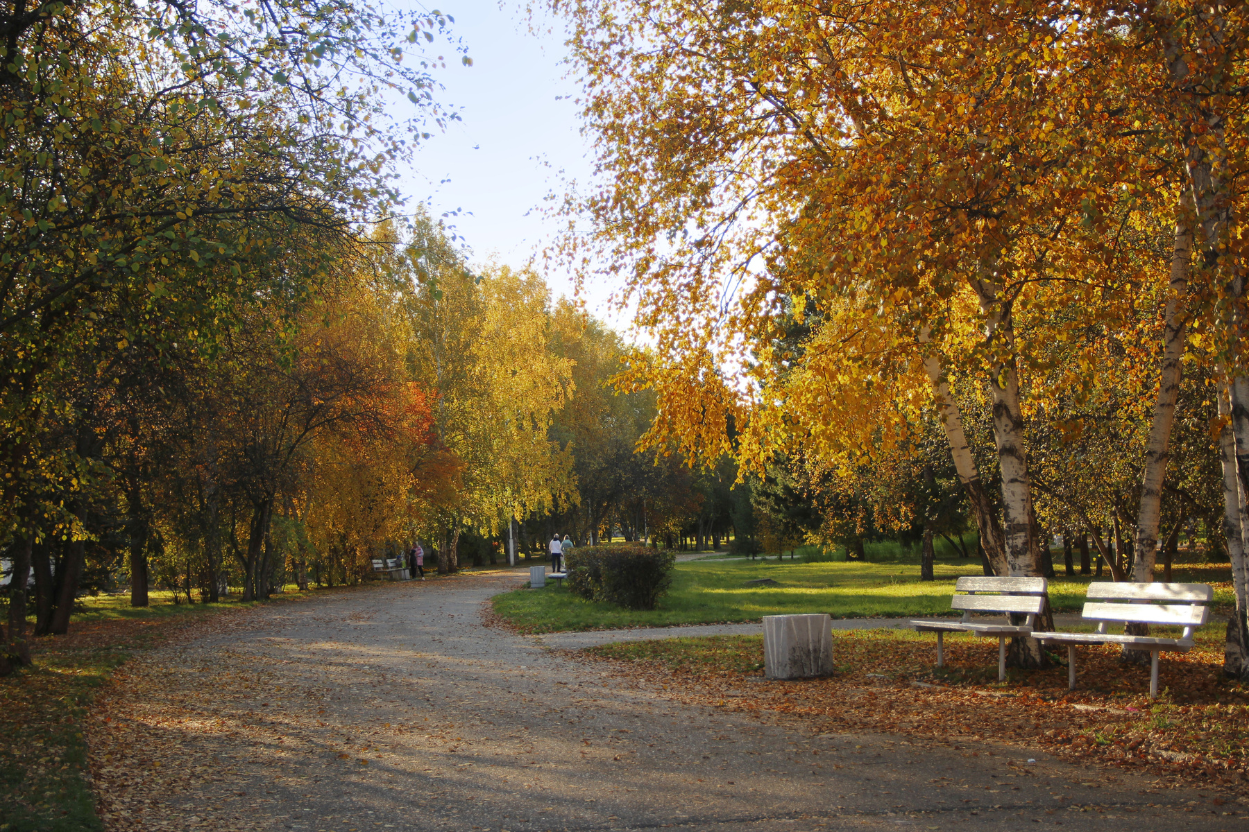 Осенний парк Сибирь город осень парк